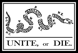 wp-1433728925231 image